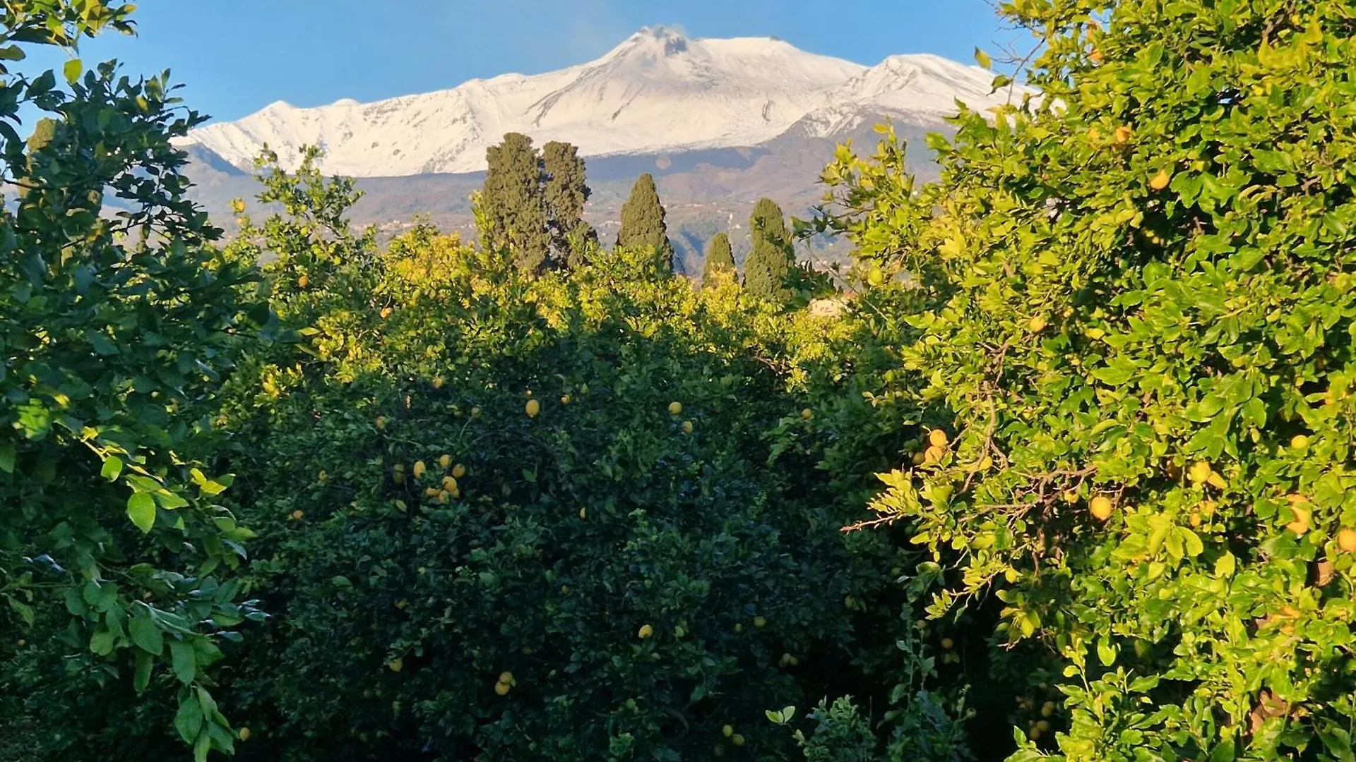 Κατάλυμα σε φάρμα Lumia Βίλα Riposto